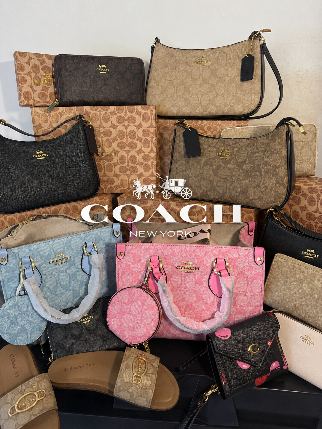 High quality USA Coach Vendor